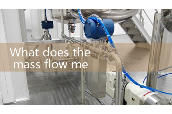 E Ten hour Mass Flow Meter